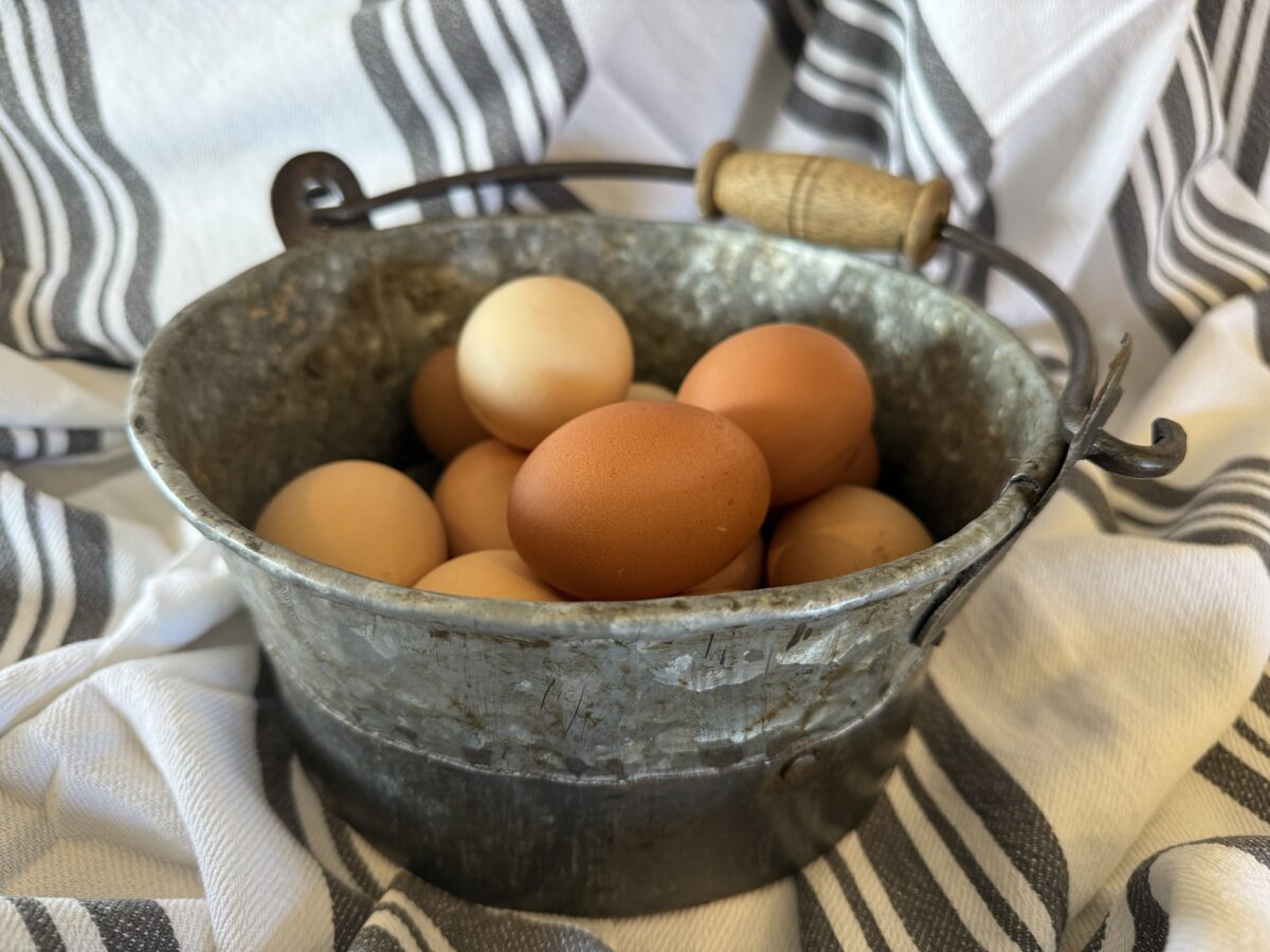 One dozen farm eggs (subject to availability)