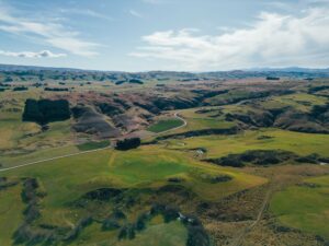 DJI_0181